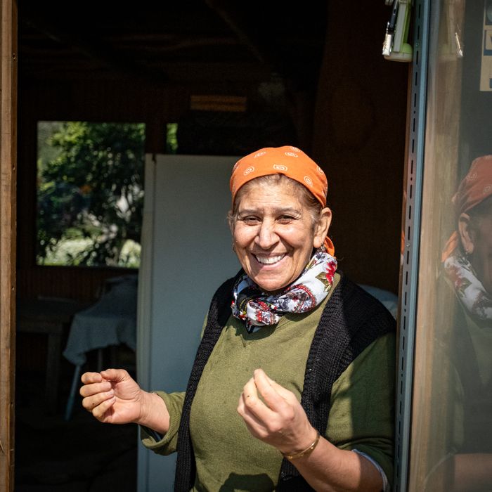 Ana Kovačič